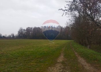 Terreno agricolo Lurano - foto 3