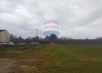 Terreno agricolo Lurano - foto 4