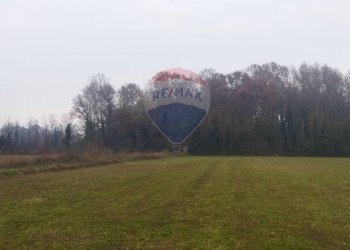 Terreno agricolo Lurano - foto 6