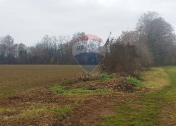 Terreno agricolo Lurano - foto 7