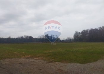 Terreno agricolo Lurano - foto 8