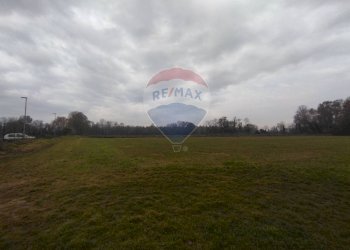 Terreno agricolo Lurano - foto 11