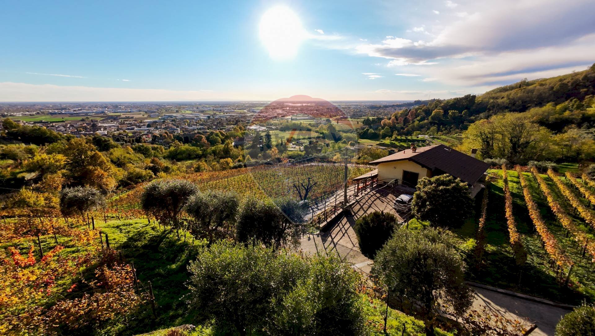 Azienda agricola Via Madonna delle Vigne, Castelli Calepio - foto 3