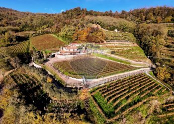 Azienda agricola Via Madonna delle Vigne, Castelli Calepio - foto 4