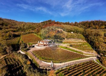 Azienda agricola Via Madonna delle Vigne, Castelli Calepio - foto 5