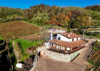 Azienda agricola Via Madonna delle Vigne, Castelli Calepio - foto 6
