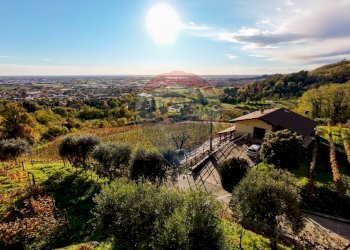 Azienda agricola Via Madonna delle Vigne, Castelli Calepio - foto 3