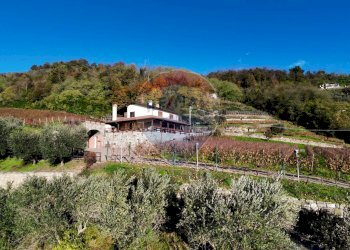 Azienda agricola Via Madonna delle Vigne, Castelli Calepio - foto 9