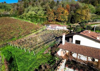Azienda agricola Via Madonna delle Vigne, Castelli Calepio - foto 11