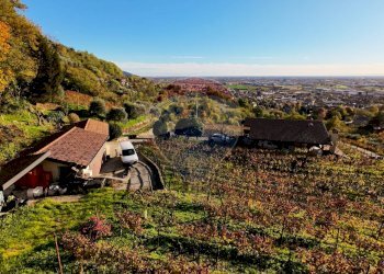 Azienda agricola Via Madonna delle Vigne, Castelli Calepio - foto 12