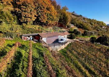Azienda agricola Via Madonna delle Vigne, Castelli Calepio - foto 14