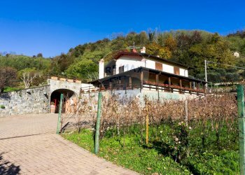 Azienda agricola Via Madonna delle Vigne, Castelli Calepio - foto 15
