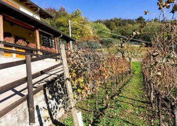 Azienda agricola Via Madonna delle Vigne, Castelli Calepio - foto 21