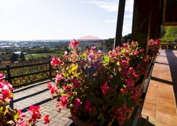 Azienda agricola Via Madonna delle Vigne, Castelli Calepio - foto 23