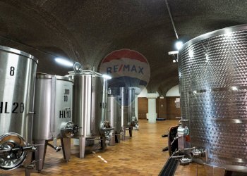 Azienda agricola Via Madonna delle Vigne, Castelli Calepio - foto 1