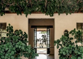 Facciata - Villa strada Canetello, 1A, Capalbio - foto 3