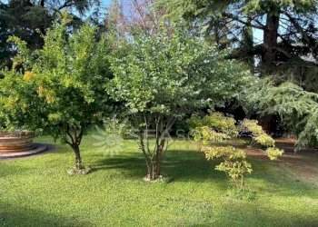 Villa Venezia - foto 8