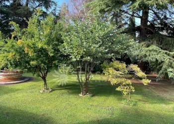 Villa Venezia - foto 25