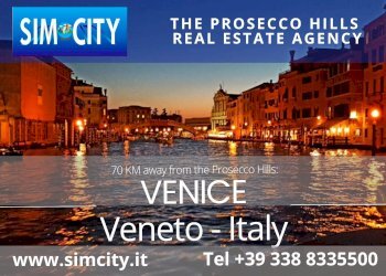 Appartamento Vittorio Veneto - foto 21