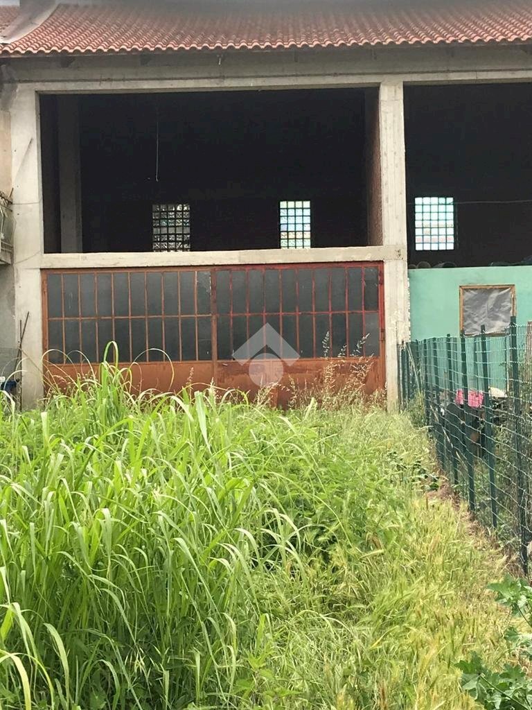 Rustico Via S. Martino, Pecetto Torinese - foto 3