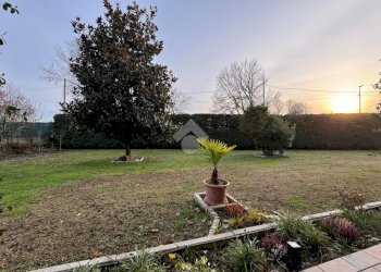 Villa Viale Quagliotti, Galliate - foto 12