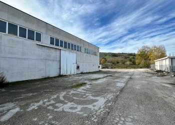 Capannone Contrada Fiorano, Ripatransone - foto 3