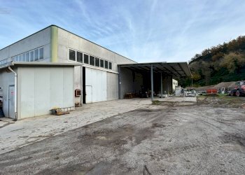 Capannone Contrada Fiorano, Ripatransone - foto 15