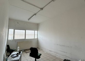 Capannone Contrada Fiorano, Ripatransone - foto 19