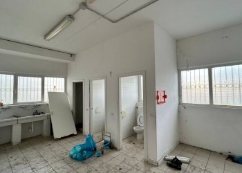 Capannone Contrada Fiorano, Ripatransone - foto 20