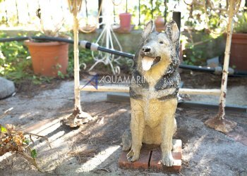 Villa Unifamiliare Ventimiglia - foto 20