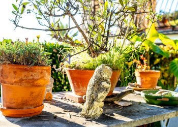 Villa Unifamiliare Ventimiglia - foto 22