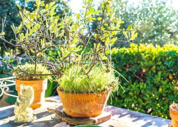 Villa Unifamiliare Ventimiglia - foto 23