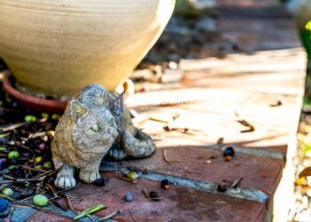 Villa Unifamiliare Ventimiglia - foto 24