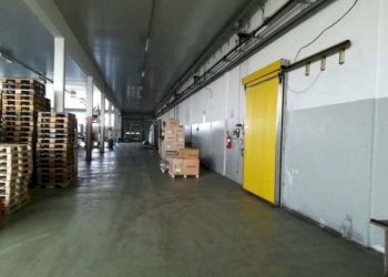 Interno non residenziale - Capannone via Savigliano, Costigliole Saluzzo - foto 8