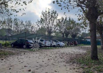 Negozio Cavallino-Treporti - foto 3