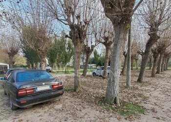 Negozio Cavallino-Treporti - foto 7