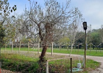 Negozio Cavallino-Treporti - foto 8