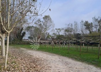 Negozio Cavallino-Treporti - foto 10