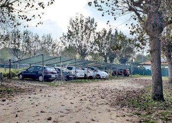 Negozio Cavallino-Treporti - foto 4