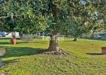 Giardino - Villa Cantone Brina, Casale Monferrato - foto 11