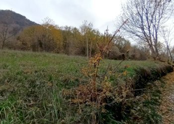 Casa indipendente Revine Lago - foto 31