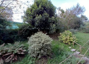 Quadrilocale via dei Pini, Pino Torinese - foto 27