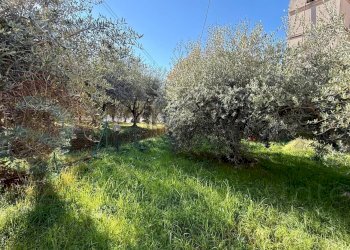 Casa indipendente Via Littorio, Roccasecca - foto 22