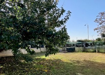 Basso Fabbricato - Appartamento in Villa Via Redecesio, frazione Redecesio, Segrate - foto 42