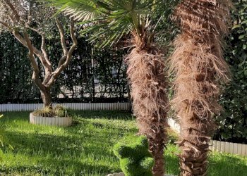 Giardino - Appartamento in Villa Via Redecesio, frazione Redecesio, Segrate - foto 6