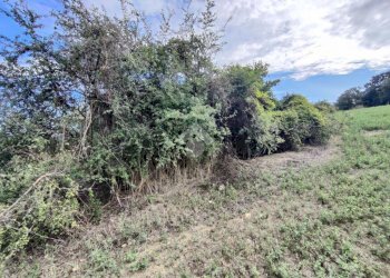 Rustico Via spogna, Montefiore Conca - foto 11