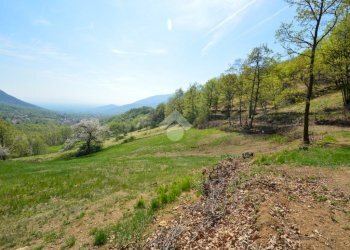 Terreno agricolo Via Castello, Val della Torre - foto 4