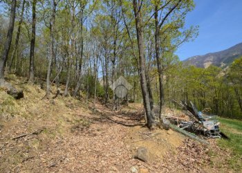 Terreno agricolo Via Castello, Val della Torre - foto 8