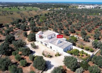 Locale Commerciale Torre Canne, Fasano - foto 2