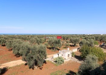 Locale Commerciale Torre Canne, Fasano - foto 30